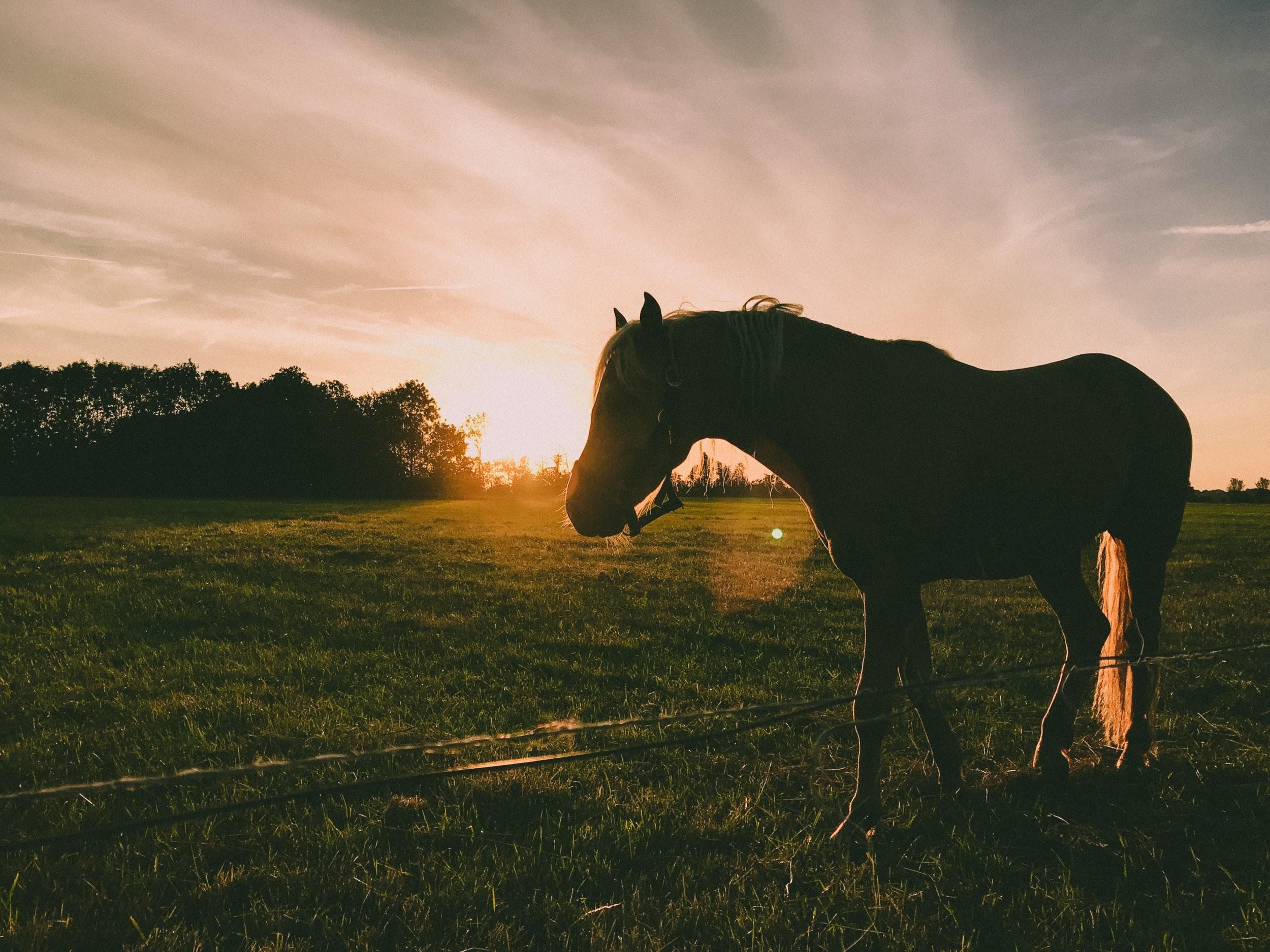 Alternative ways to explore the Brecon Beacons